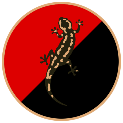 Disability Activism Society logo